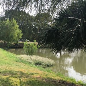 Meet your Posher, Ana maria